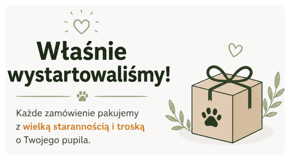 Stylowość w każdym szwie
